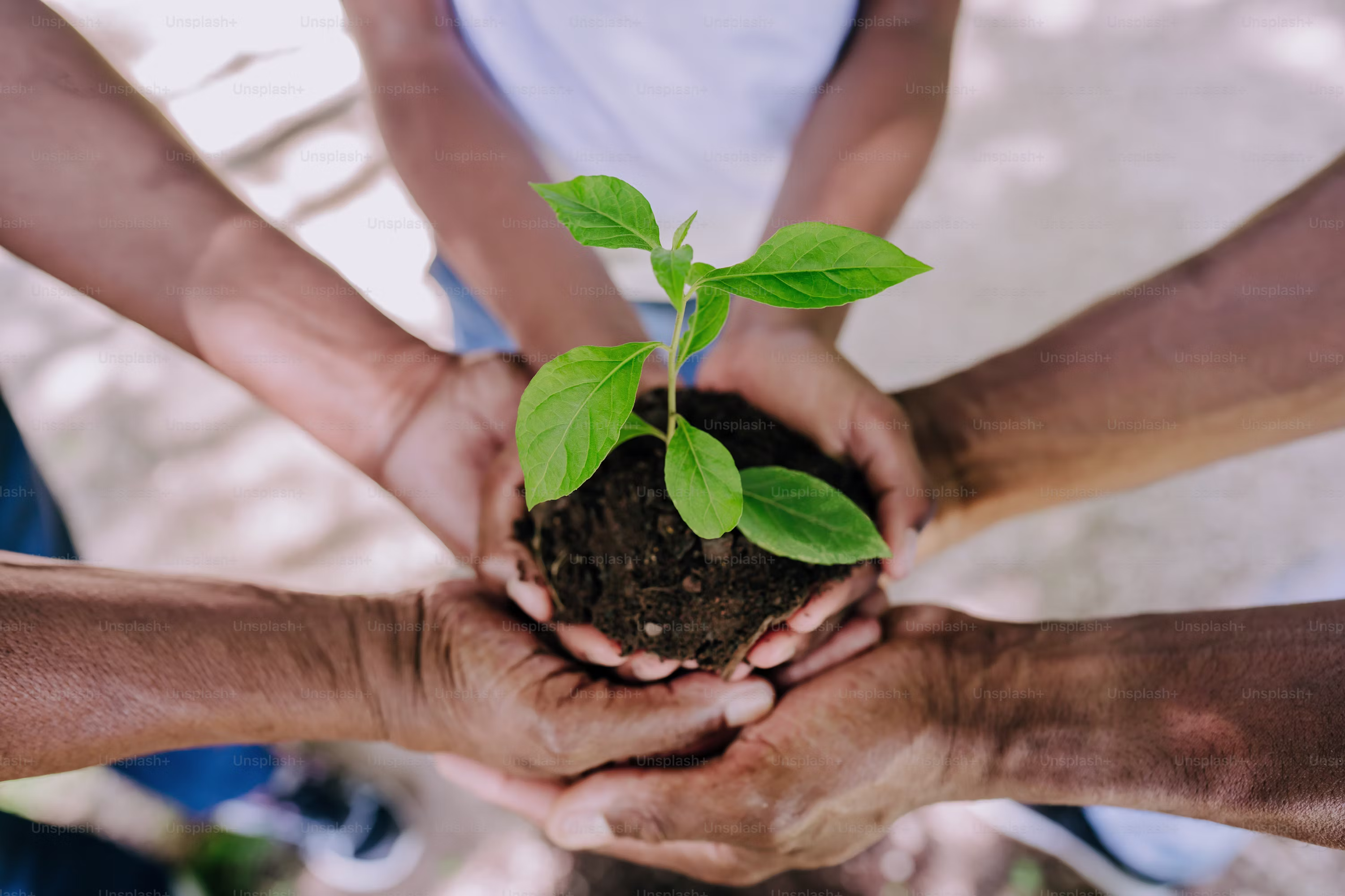 Estate Preservation & Legacy Planning